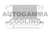 AUTOGAMMA 104967 Intercooler, charger